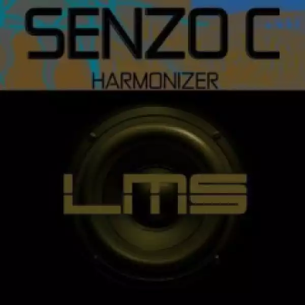 Senzo C - Harmonizer